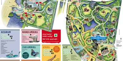 Kart zoo Rotterdam 